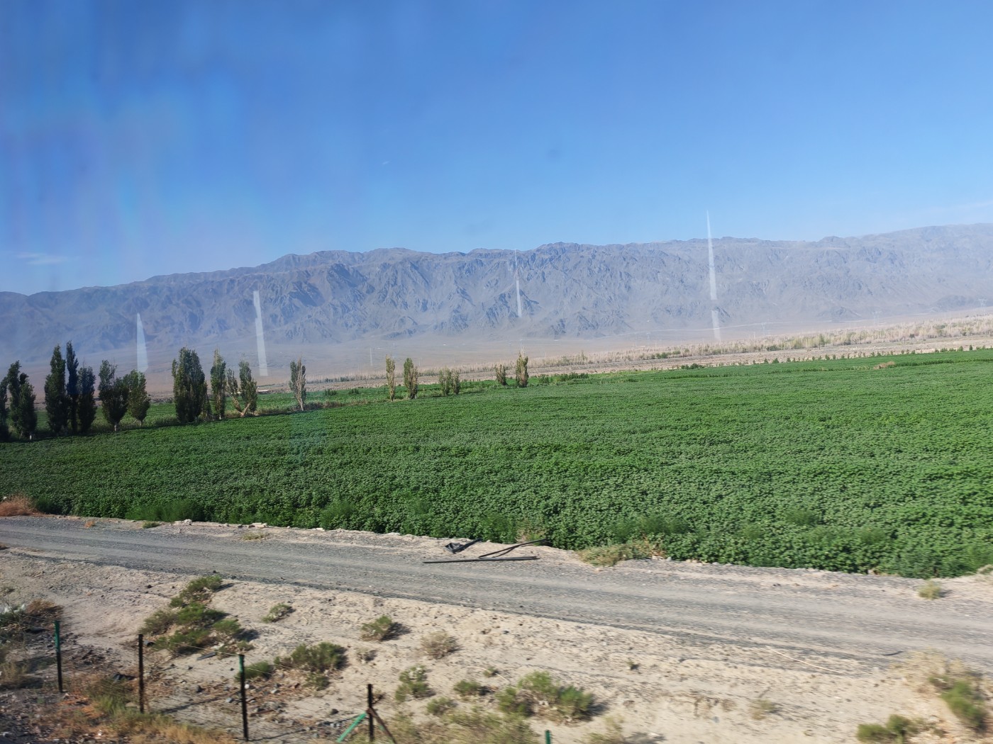 IMG_20260719_102420.jpg
