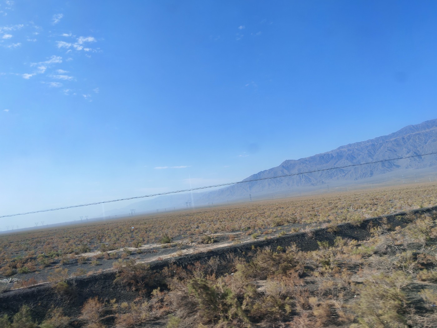 IMG_20260719_102635.jpg