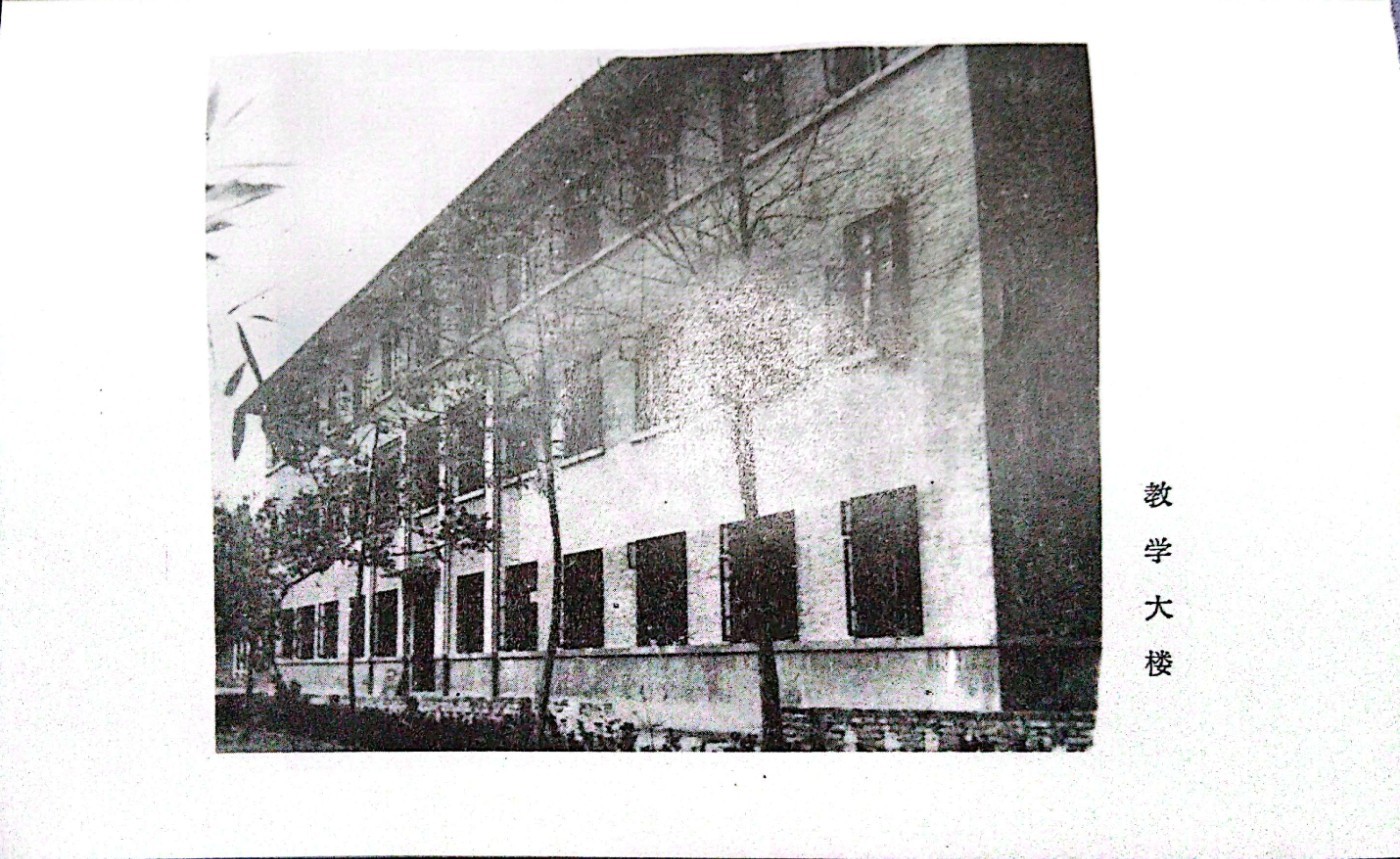 094818axx1x1jmwidxjnlw.jpg