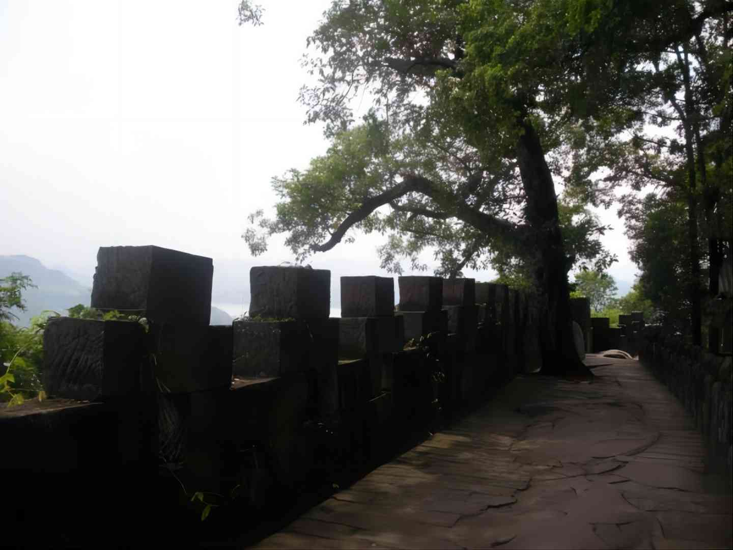 7A1.jpg