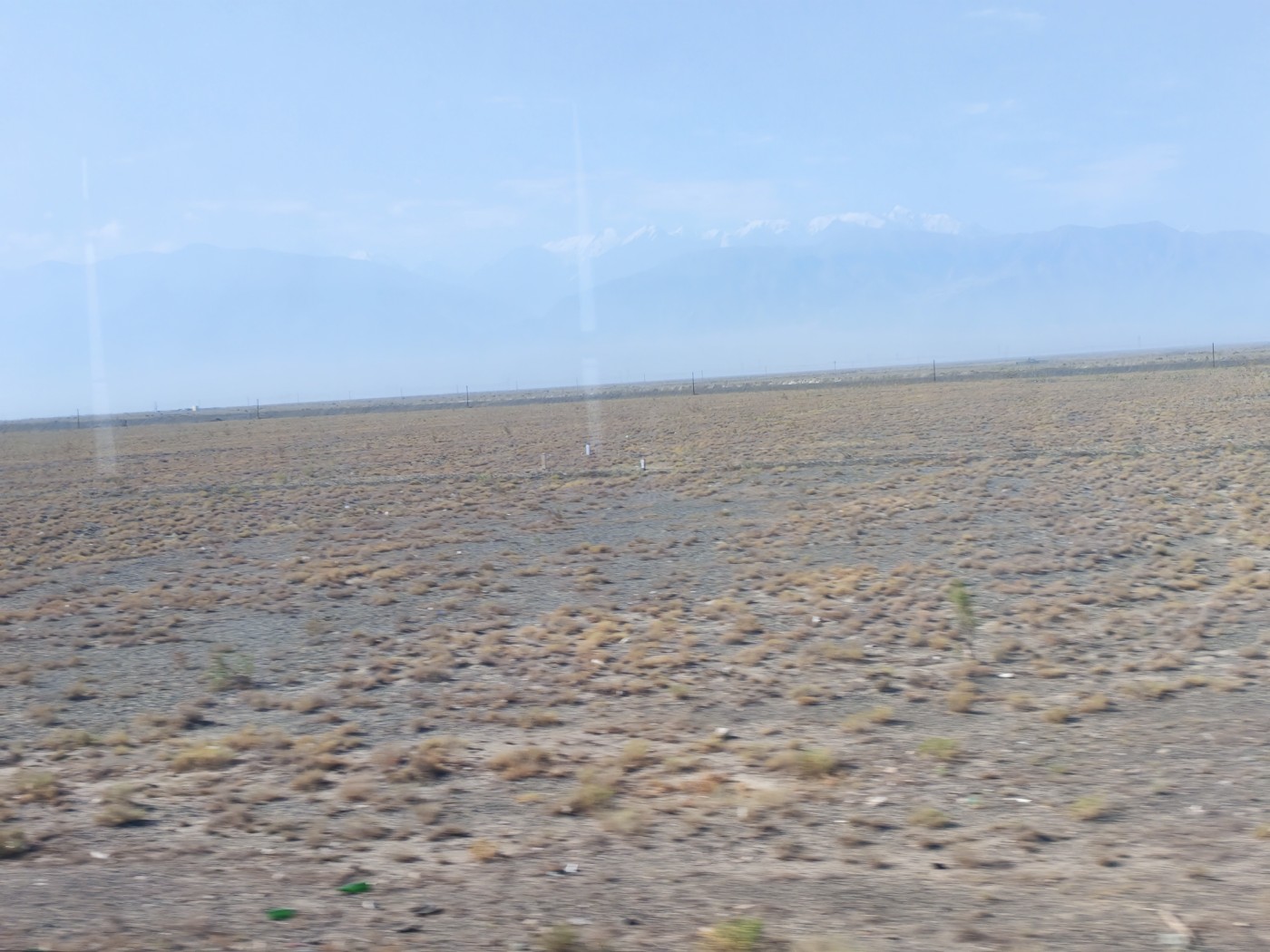 IMG_20260719_104211.jpg