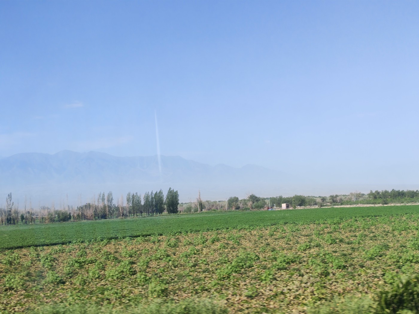 IMG_20260719_105021.jpg