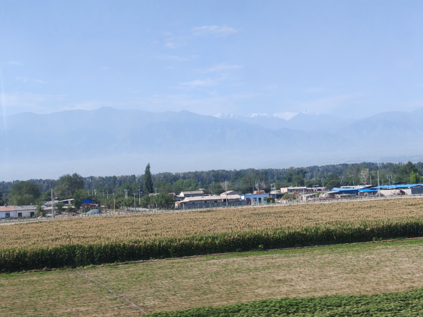 IMG_20260719_105132.jpg