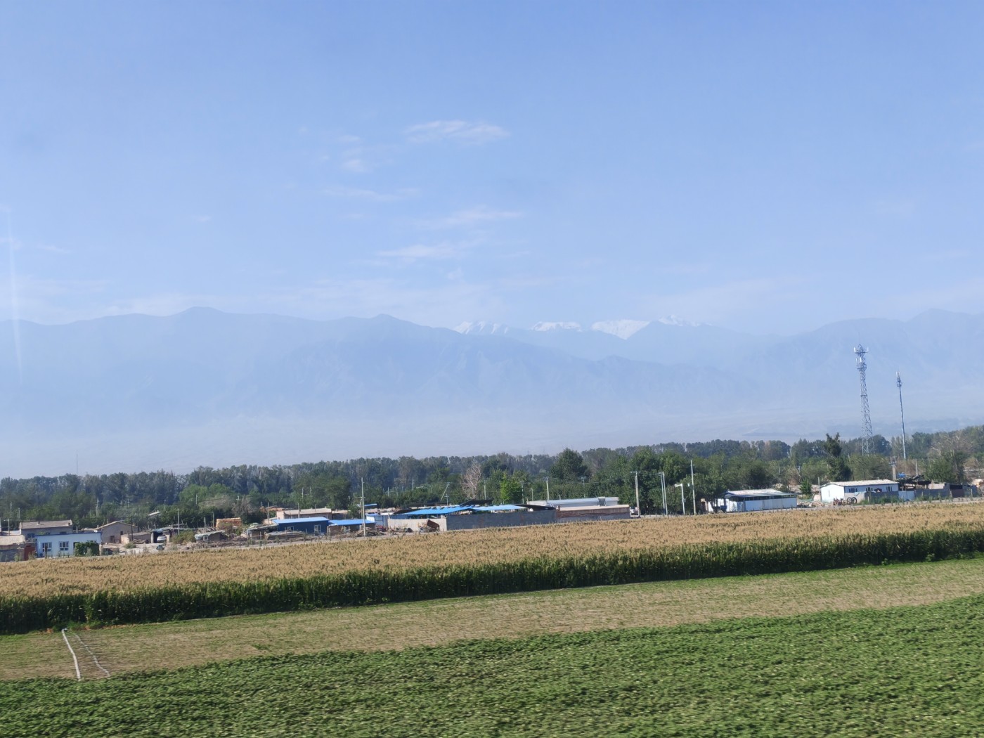 IMG_20260719_105129.jpg