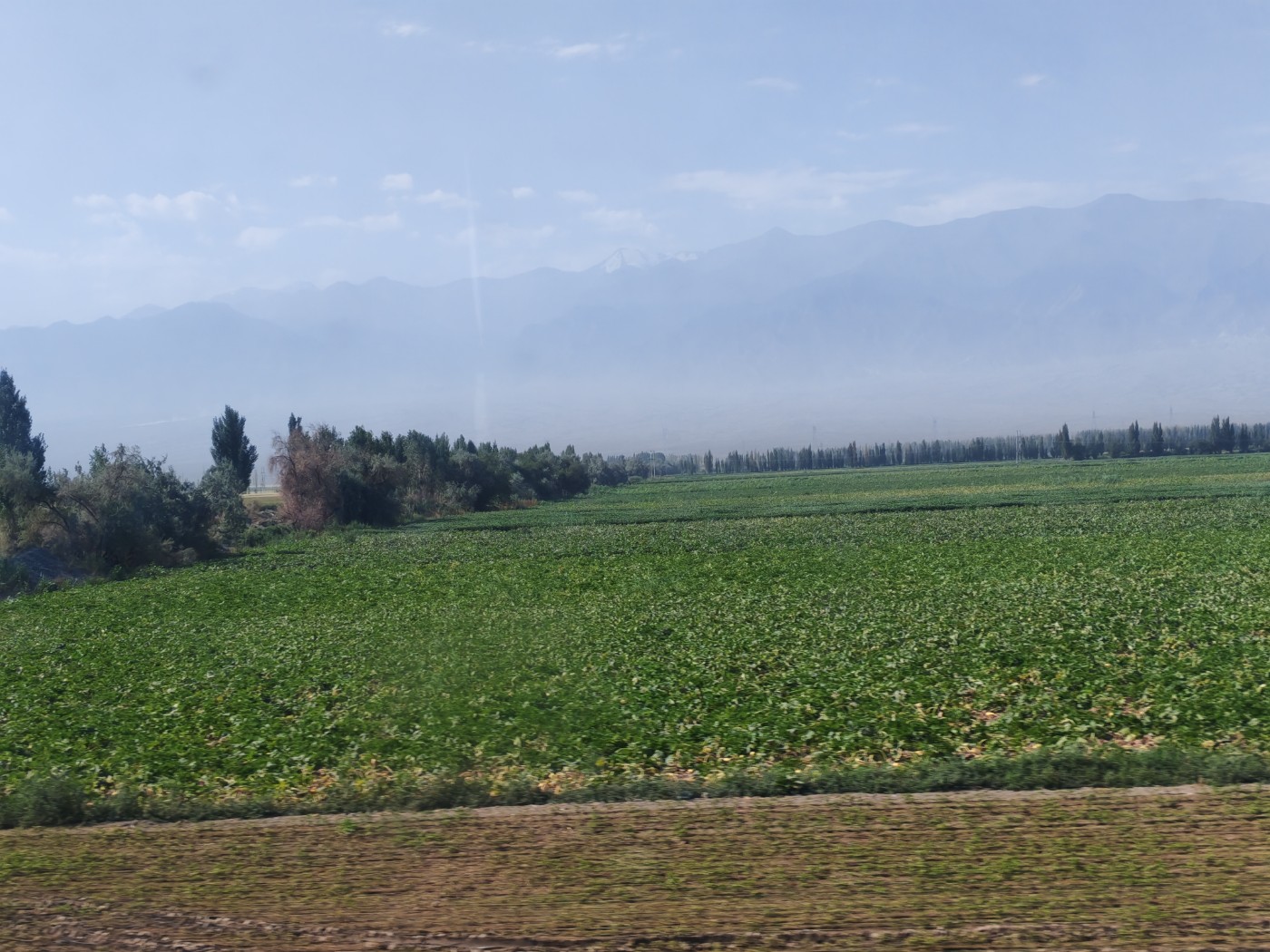 IMG_20260719_105220.jpg