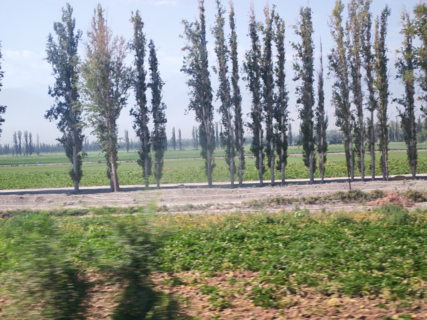 IMG_20260719_105149.jpg