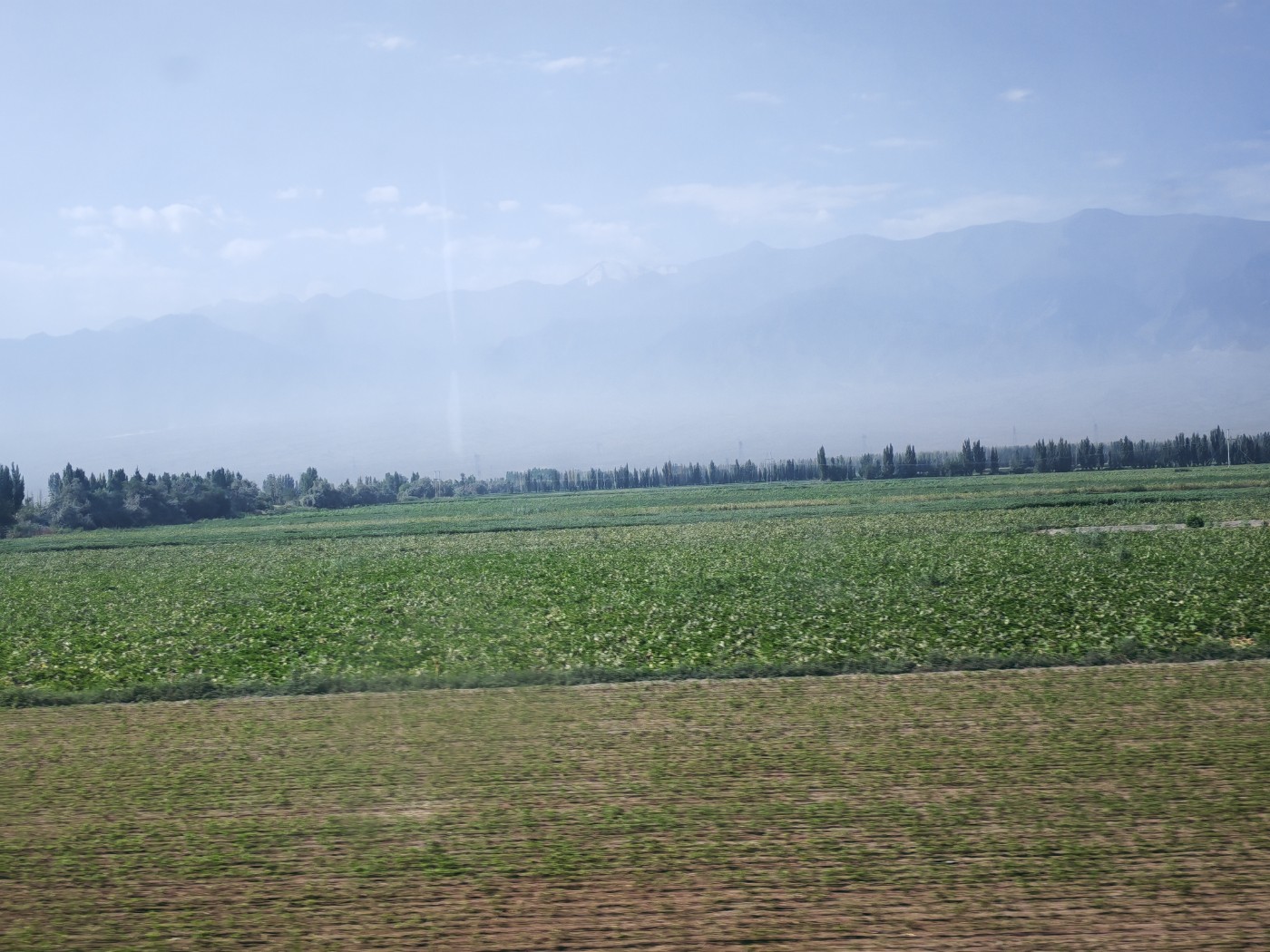 IMG_20260719_105216.jpg