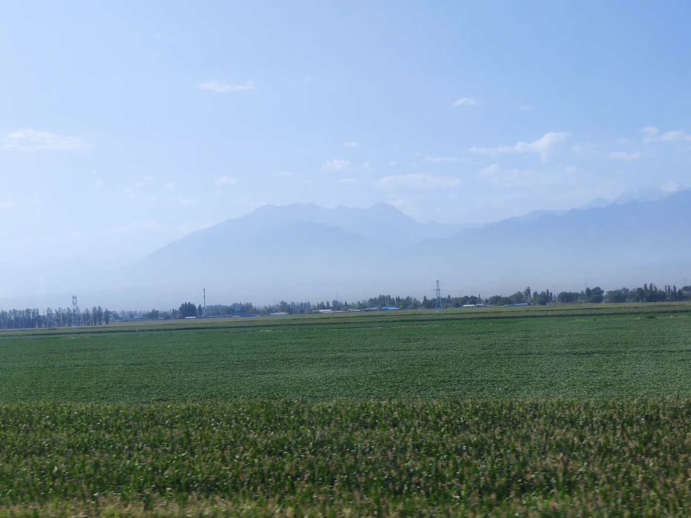 IMG_20260719_105437.jpg