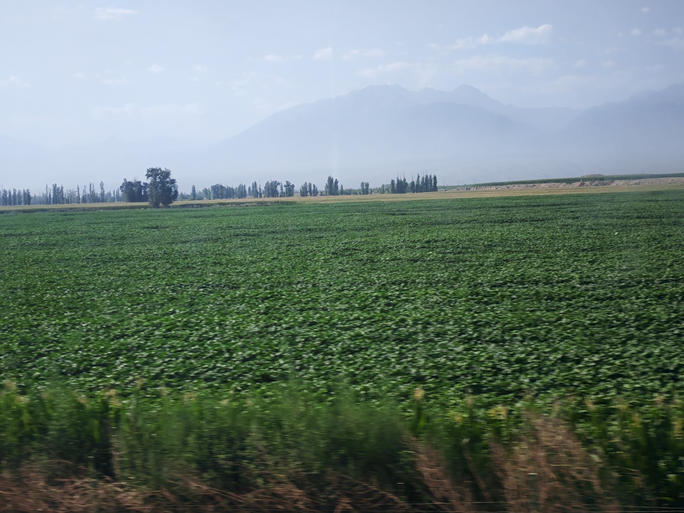 IMG_20260719_105727.jpg