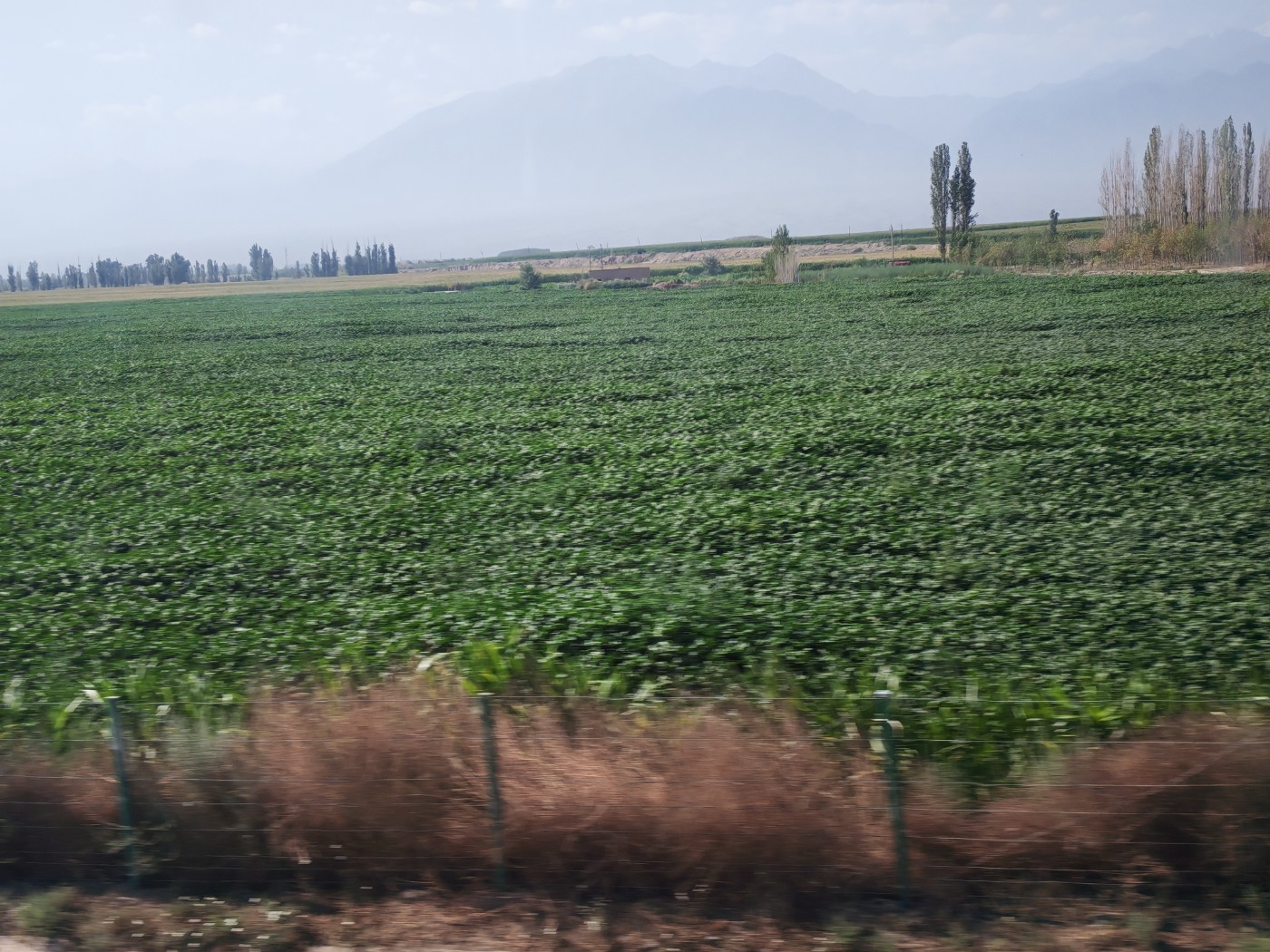 IMG_20260719_105721.jpg