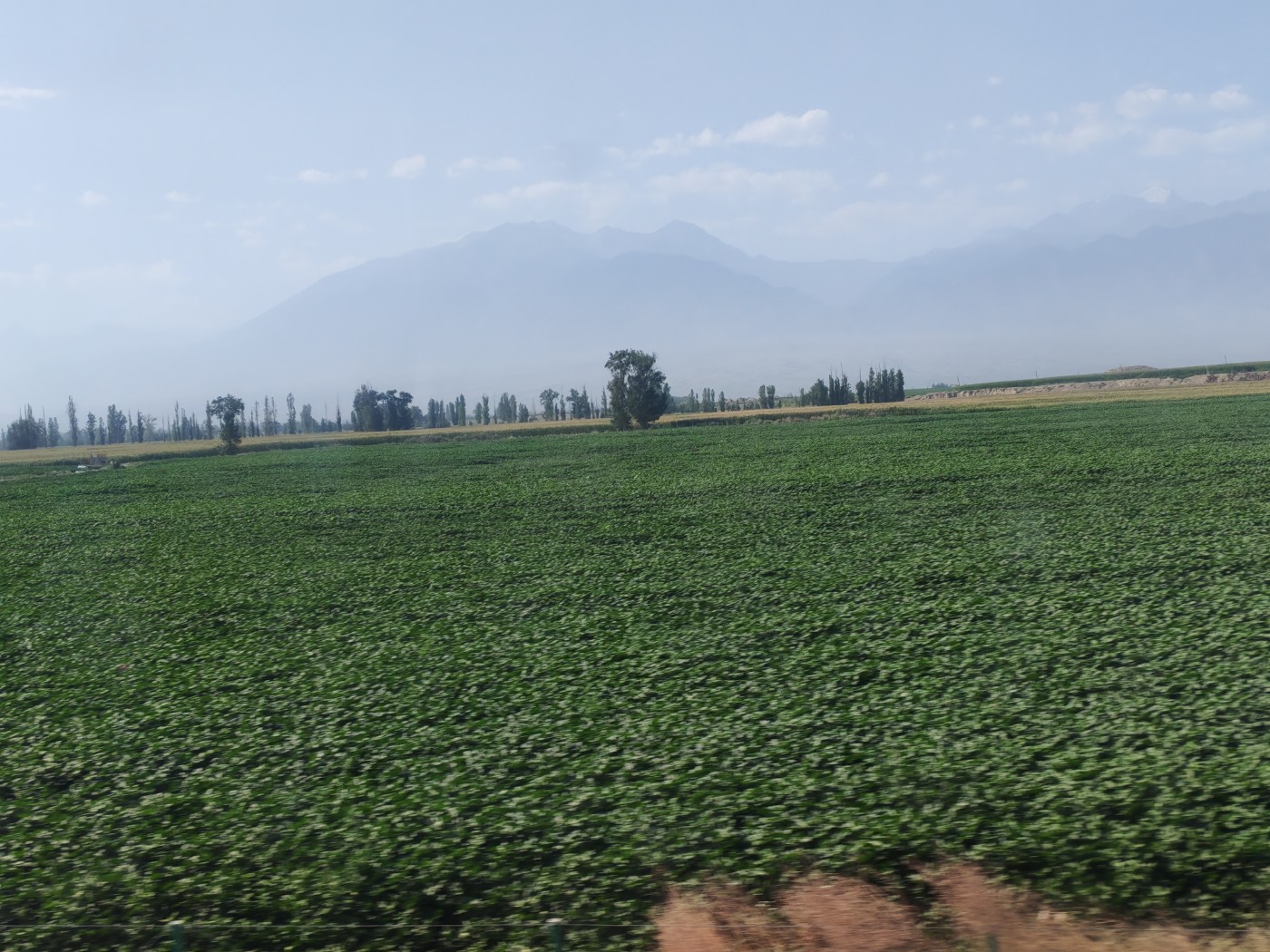 IMG_20260719_105732.jpg