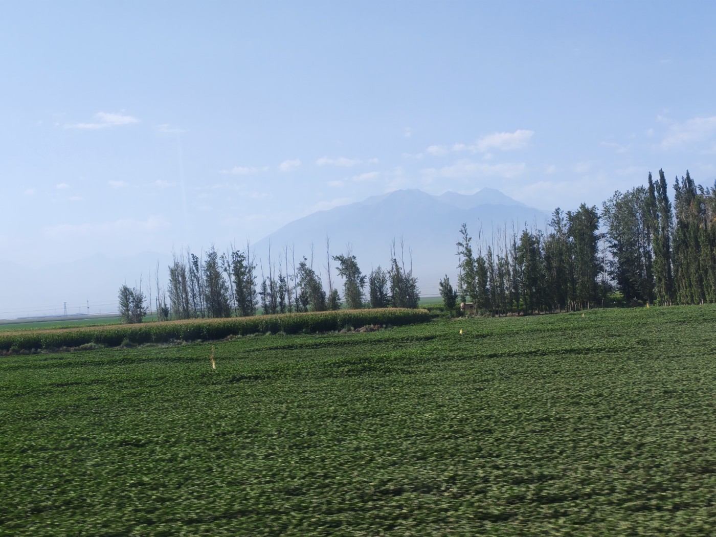 IMG_20260719_105841.jpg