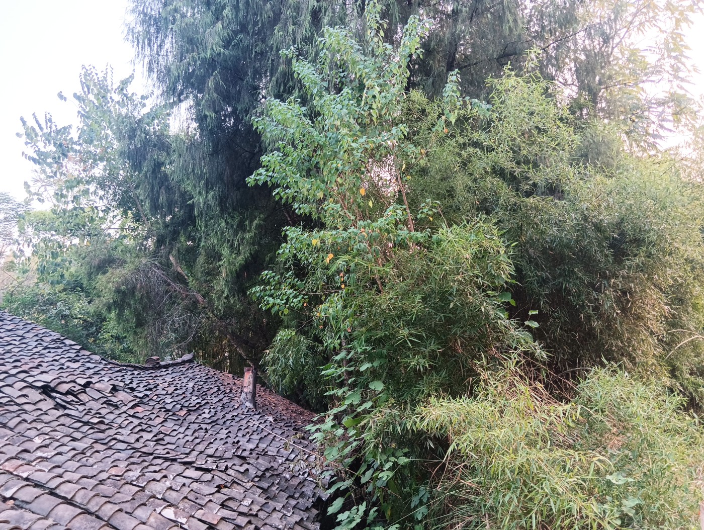΢��ͼƬ_20260731052141.jpg