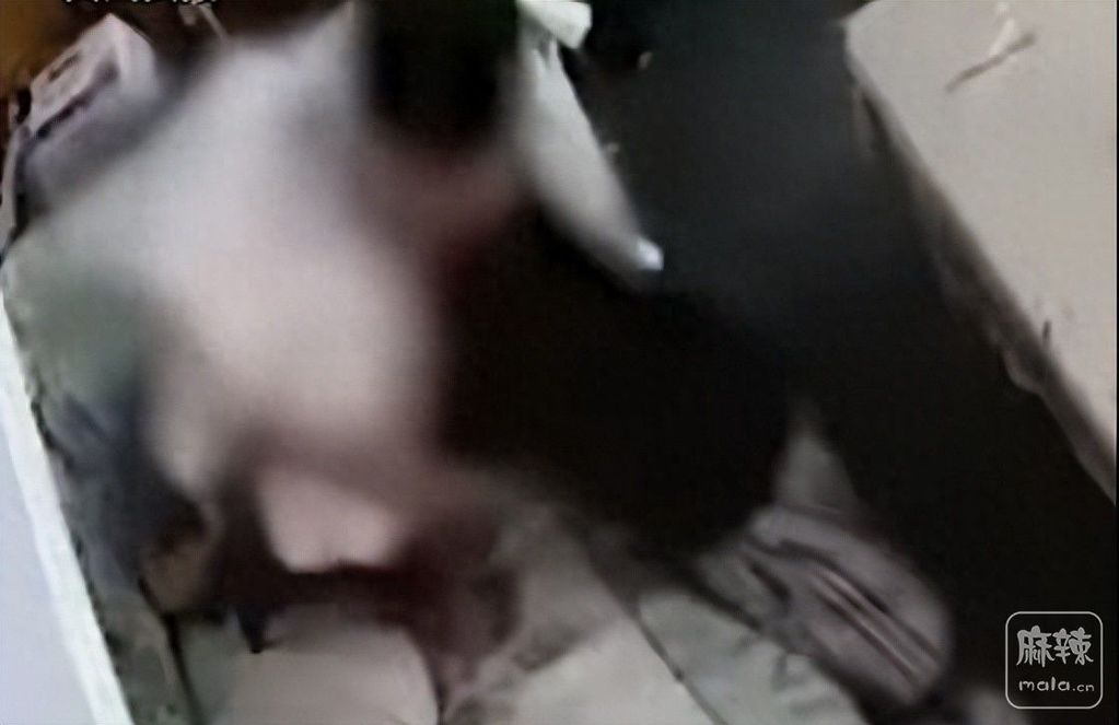4b01b0871b7148688ad695474354e98e~tplv-tt-origin-web:gif.jpeg