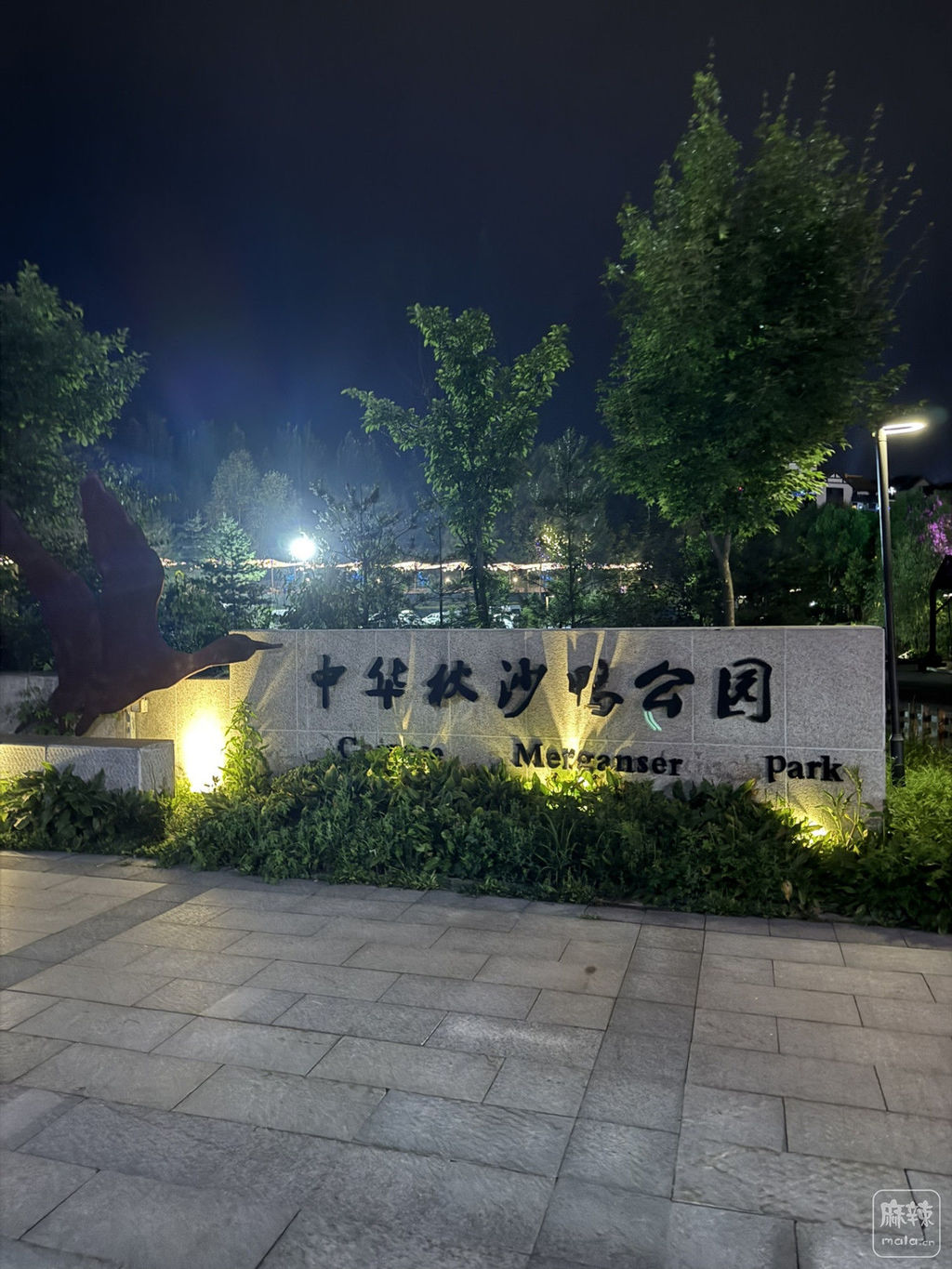 527c0686ec64a0980.jpeg