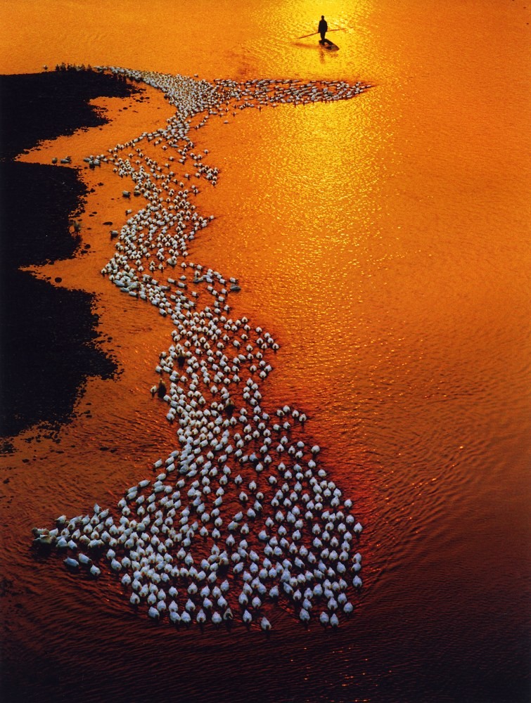 ΢��ͼƬ_20260801190914_3074_530.png