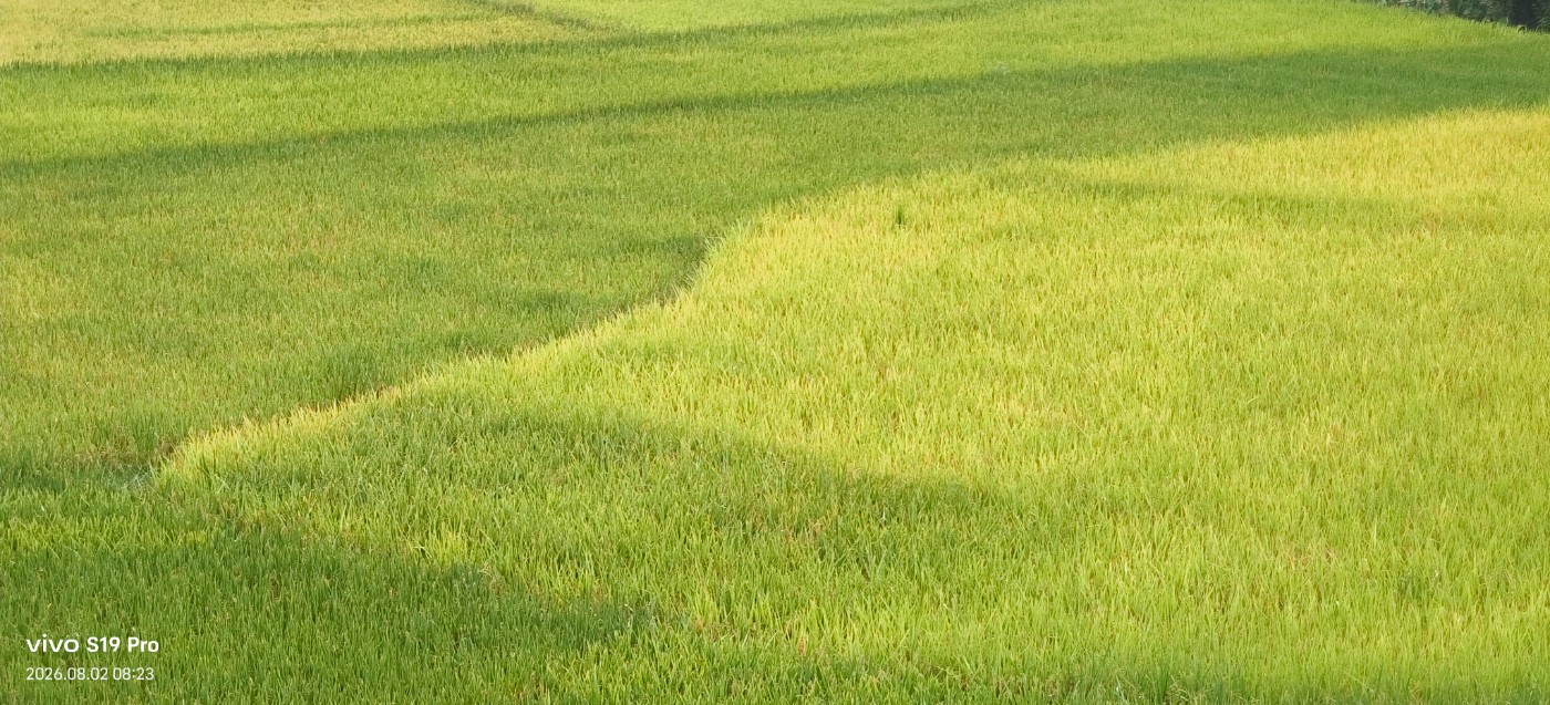 ΢��ͼƬ_20260802092604.jpg