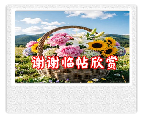 ZH.png