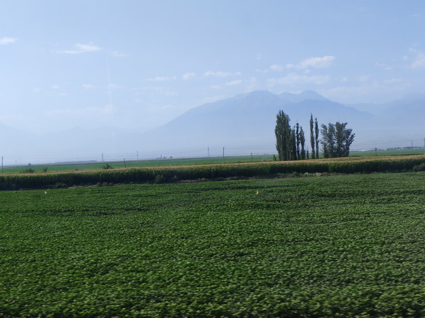 IMG_20260719_105846.jpg
