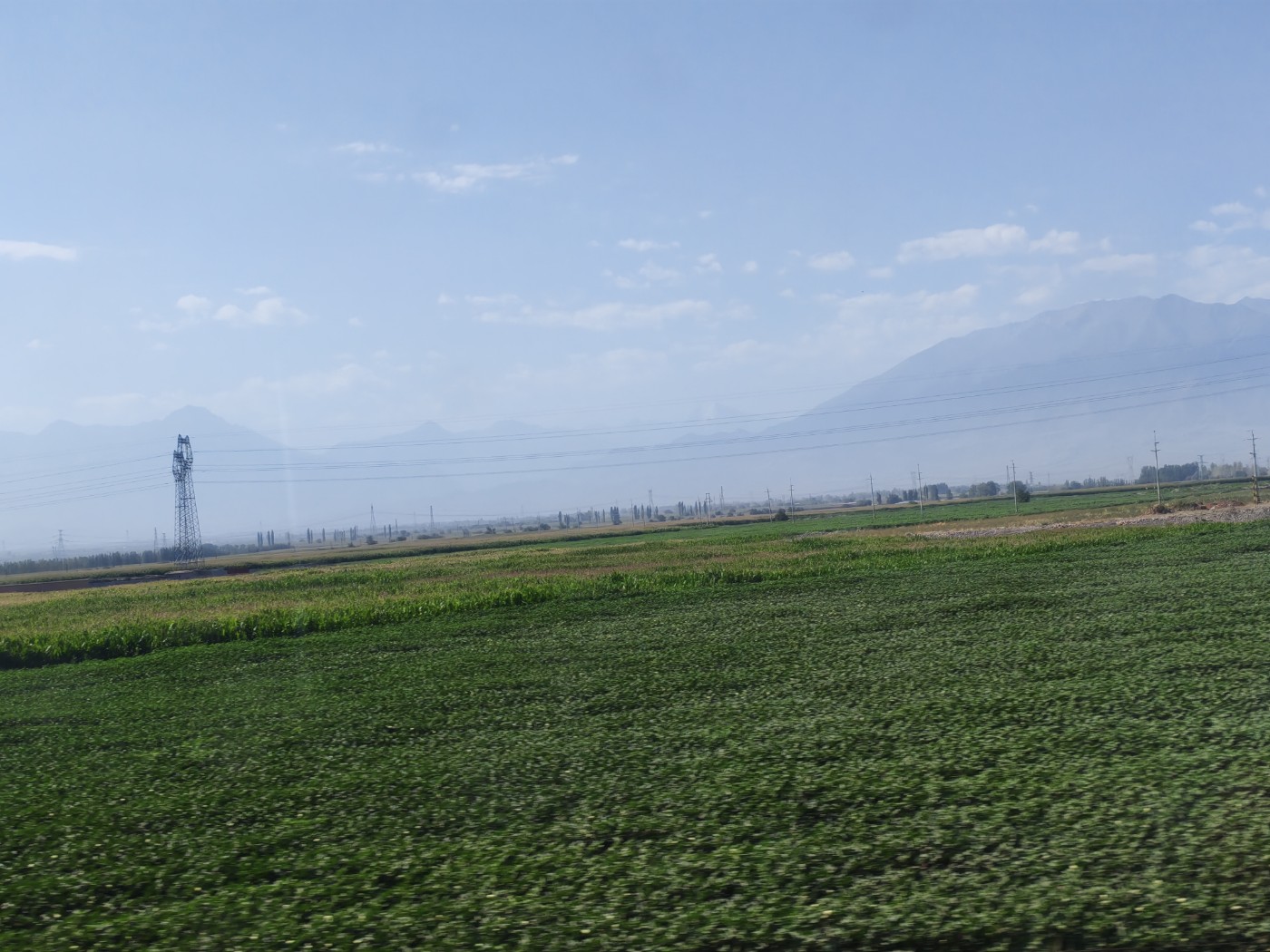 IMG_20260719_110323.jpg