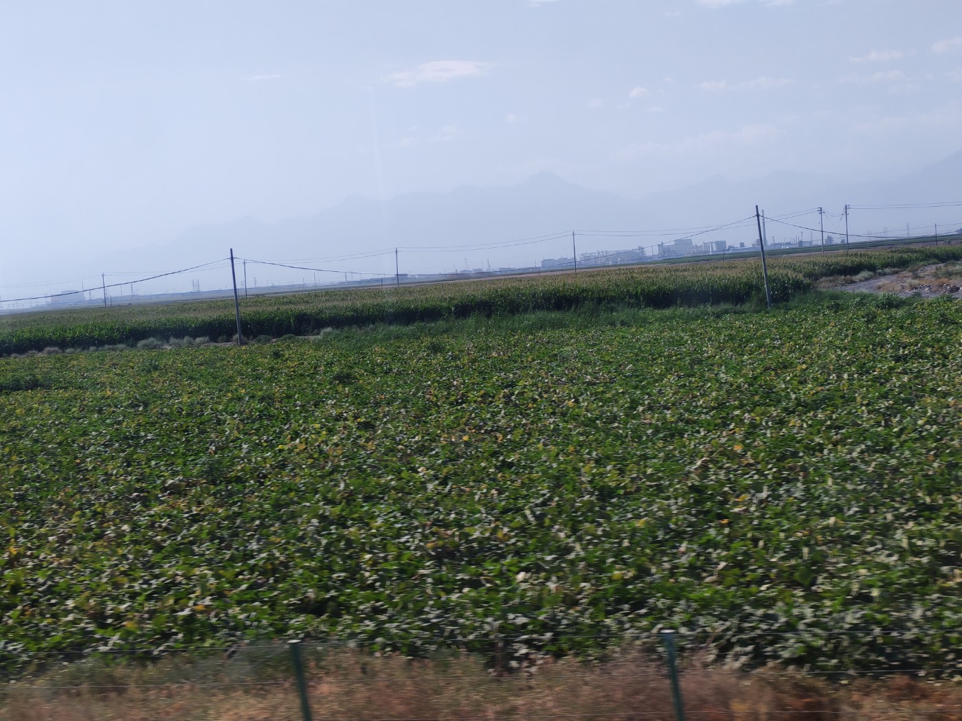 IMG_20260719_105944.jpg