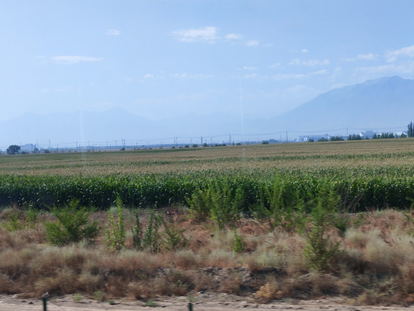 IMG_20260719_110031.jpg