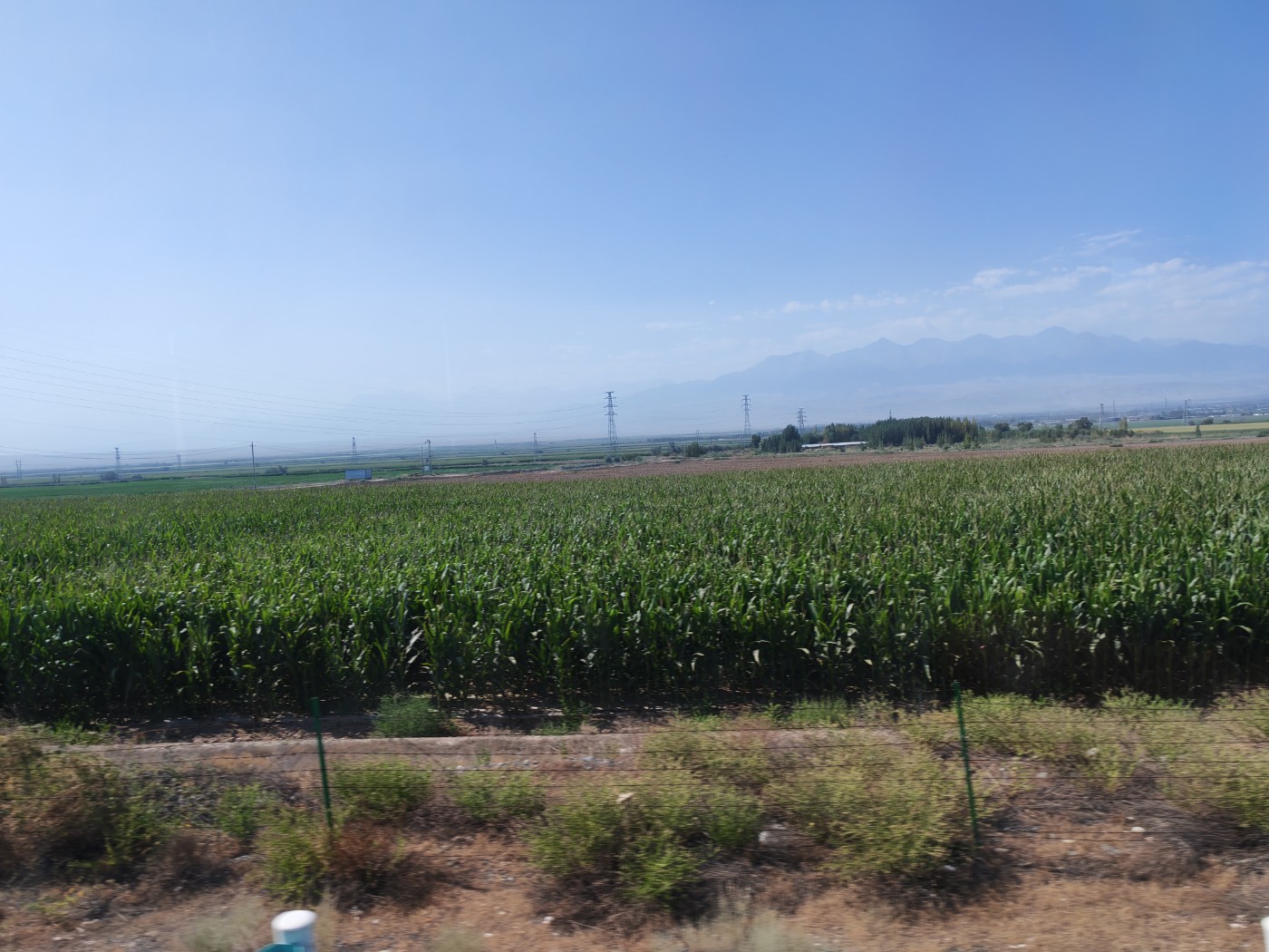 IMG_20260719_111750.jpg