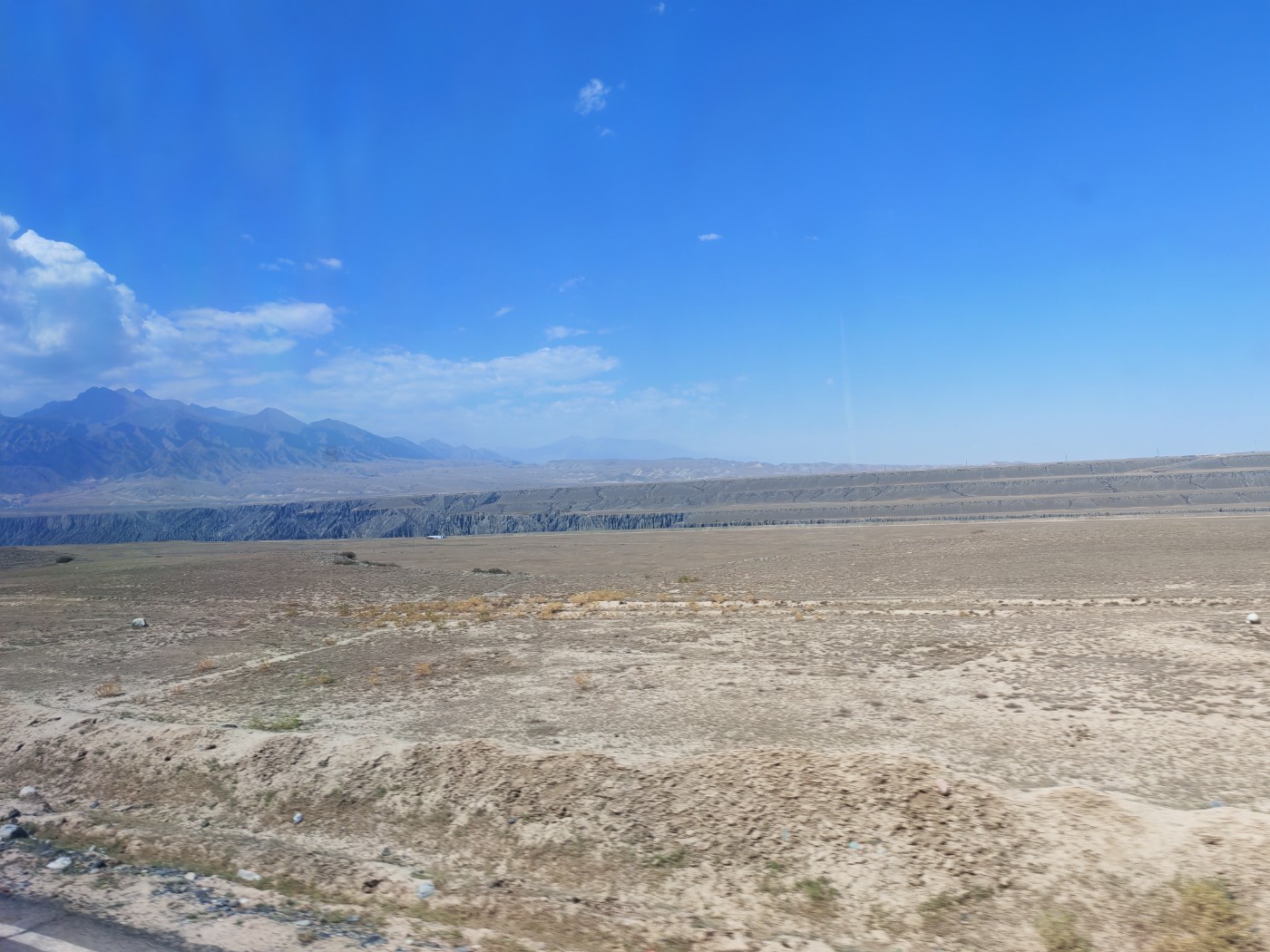 IMG_20260719_130451.jpg