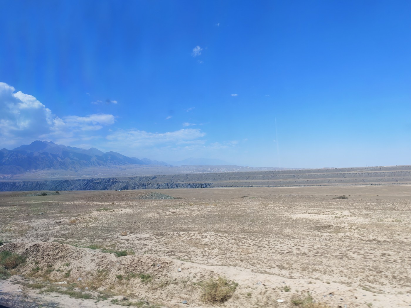 IMG_20260719_130444.jpg