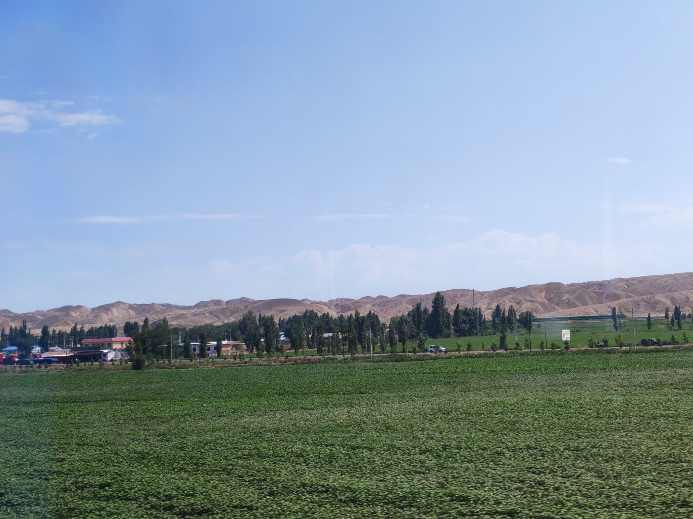 IMG_20260719_155548.jpg