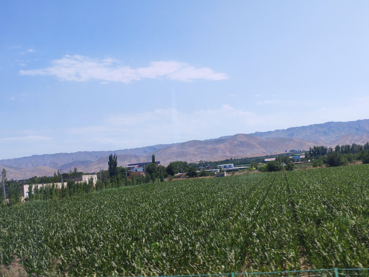 IMG_20260719_162927.jpg