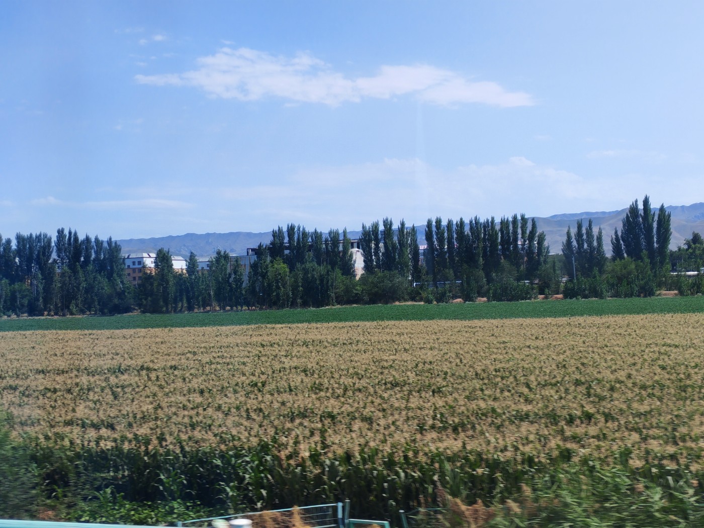 IMG_20260719_162947.jpg