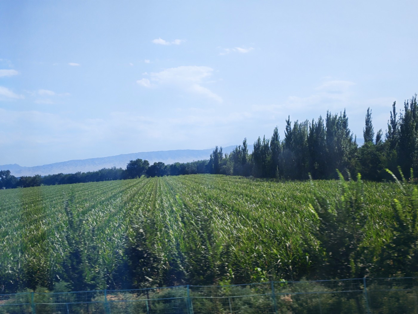 IMG_20260719_175641.jpg