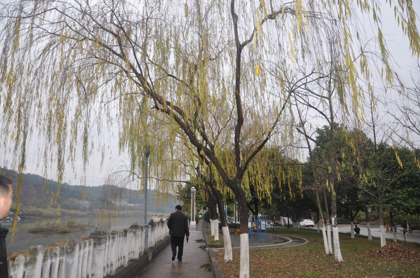����ƽ��Ӱ���� 100.jpg