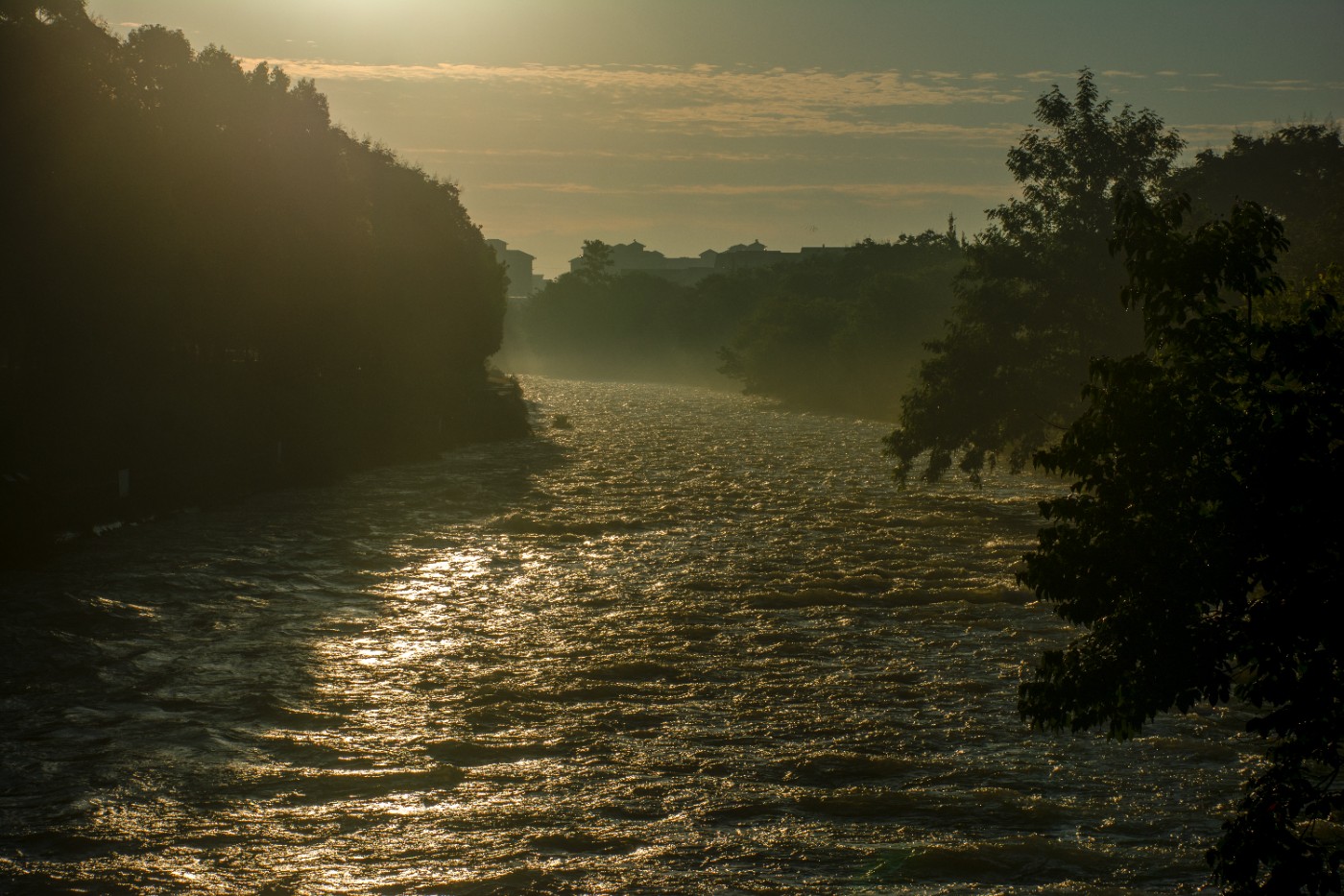 _DSC9220.jpg