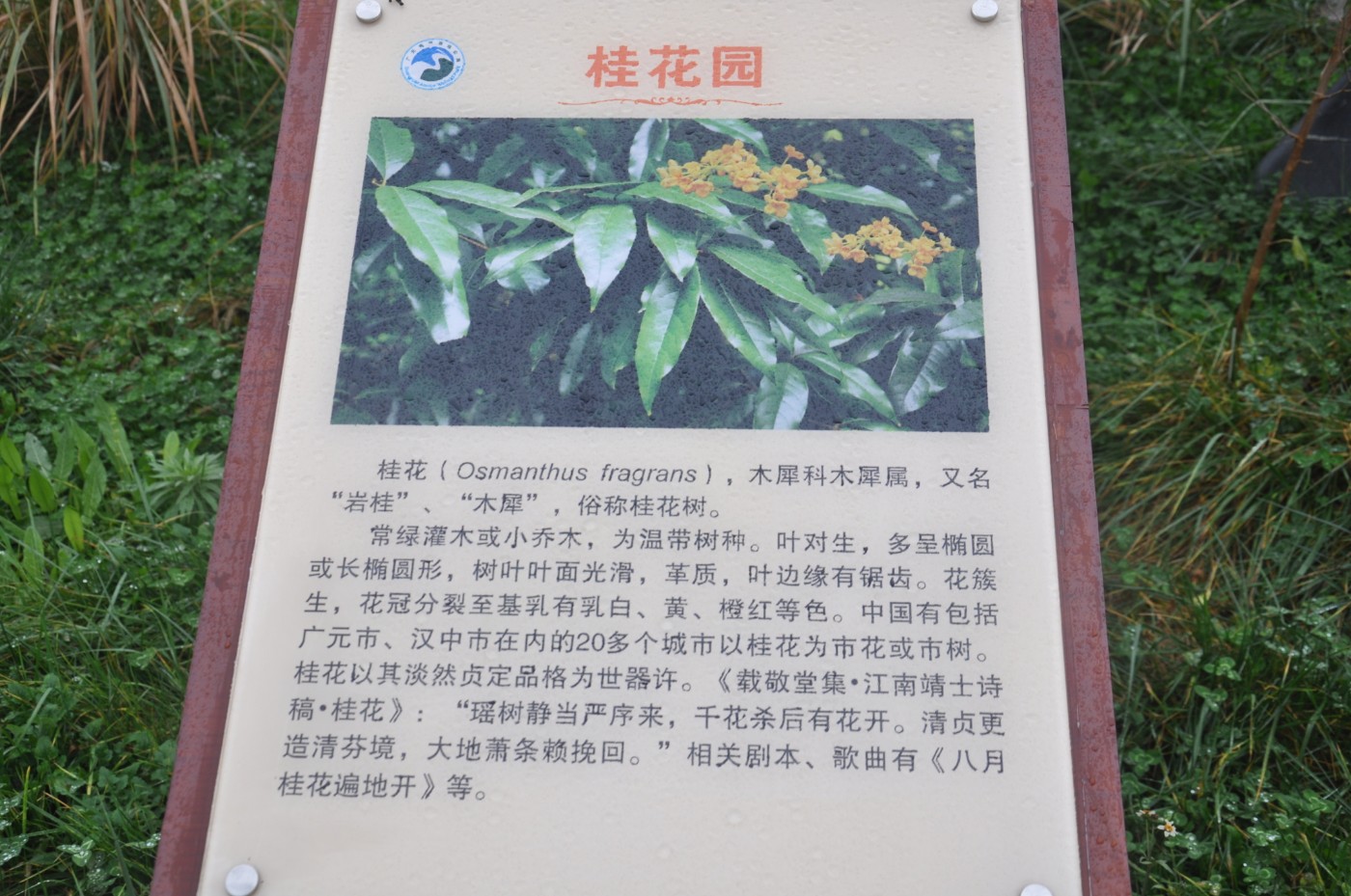 ����ƽ��Ӱ���� 067.jpg