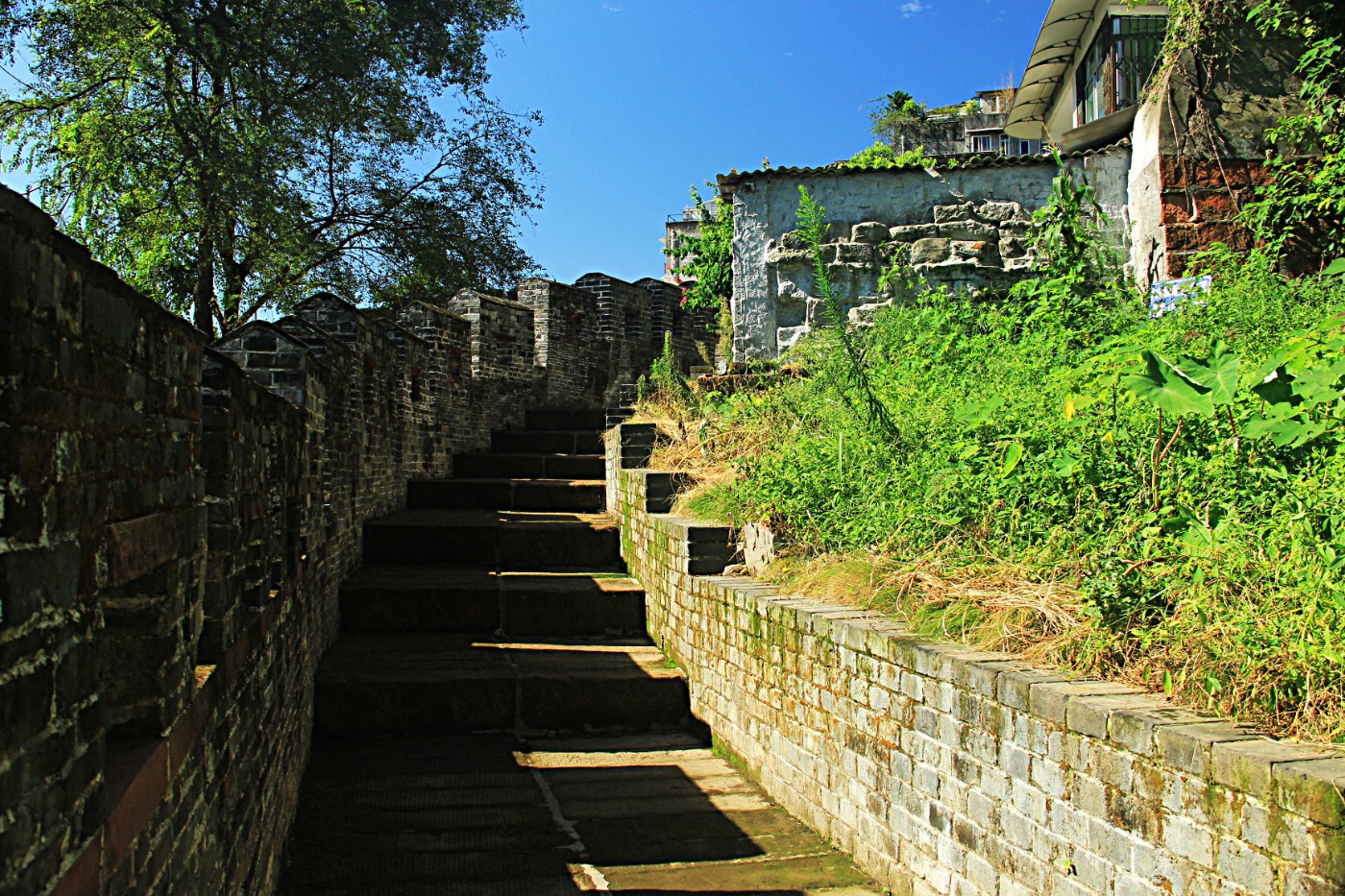 IMG_2757.JPG