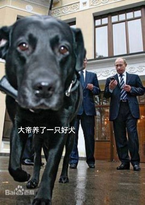 20260804211218front2_0_7930392_FqW2nWu1cOnd3UD1nawjgnMopX5t.jpg