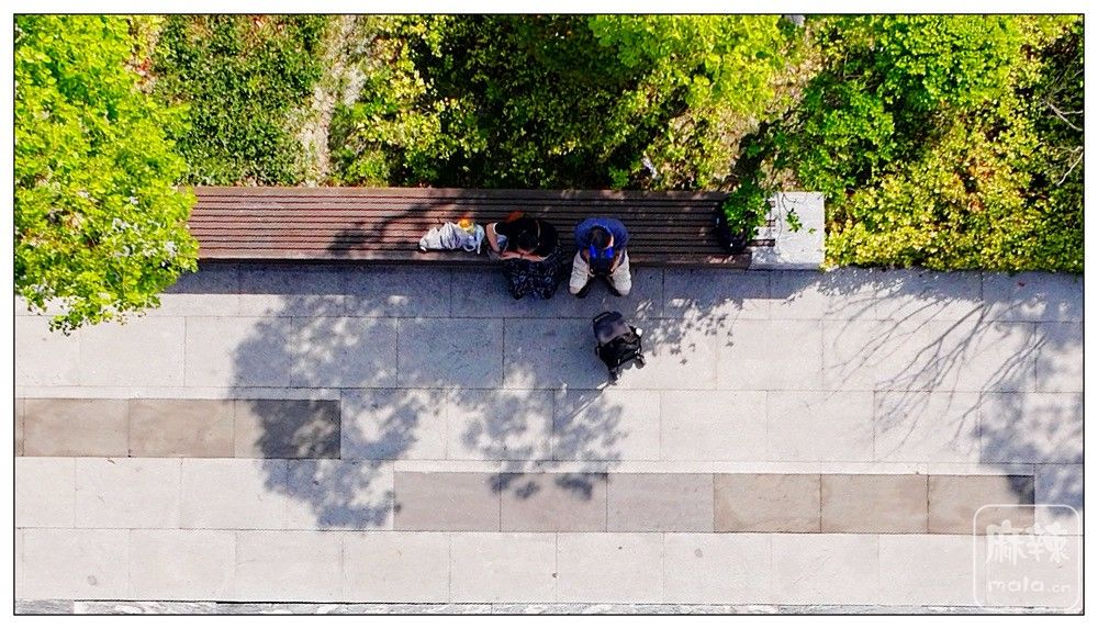 dji_export_20260520_163437_1779266077204_sphere_screenshot.jpg