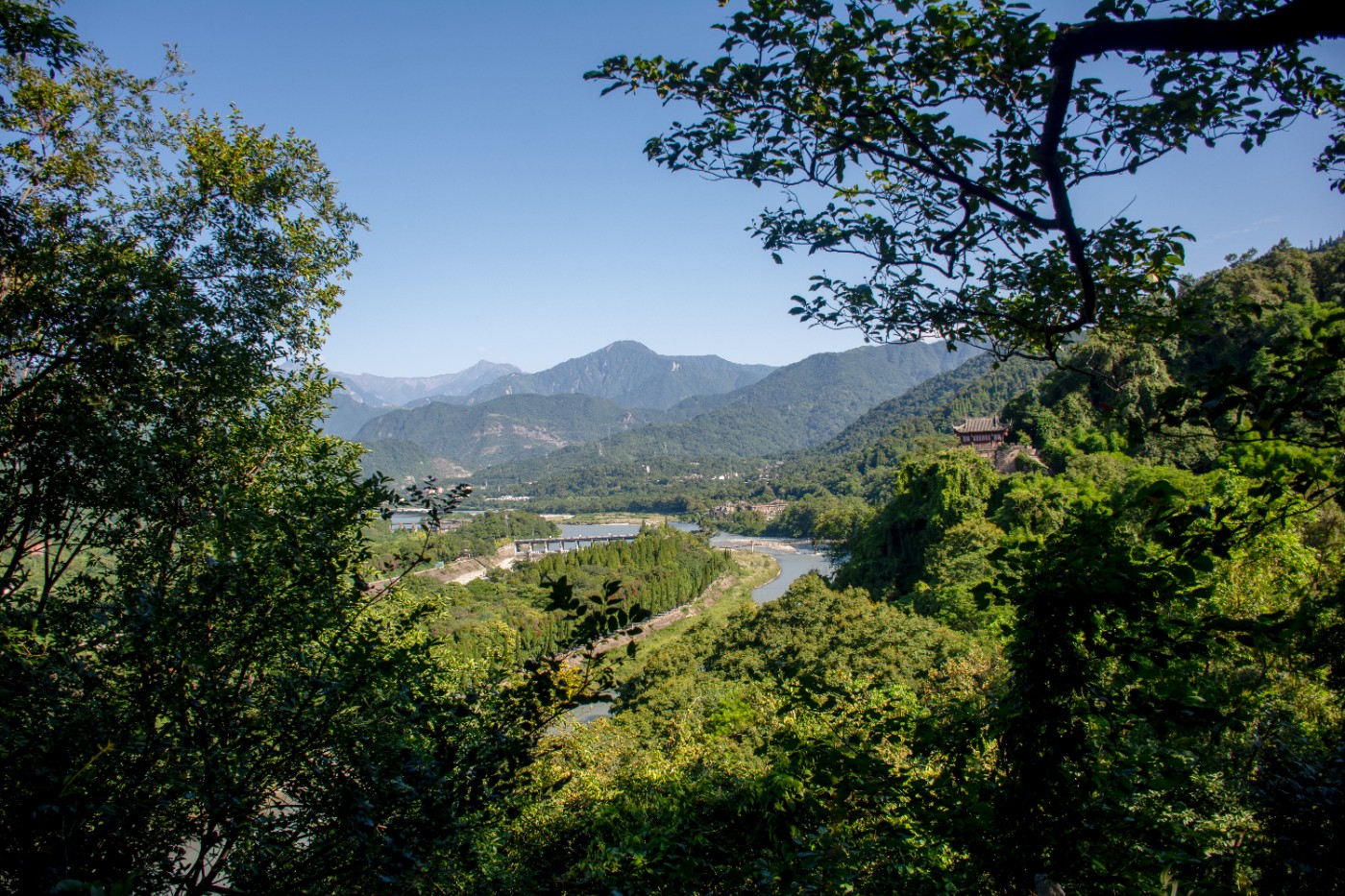 _DSC9308.jpg