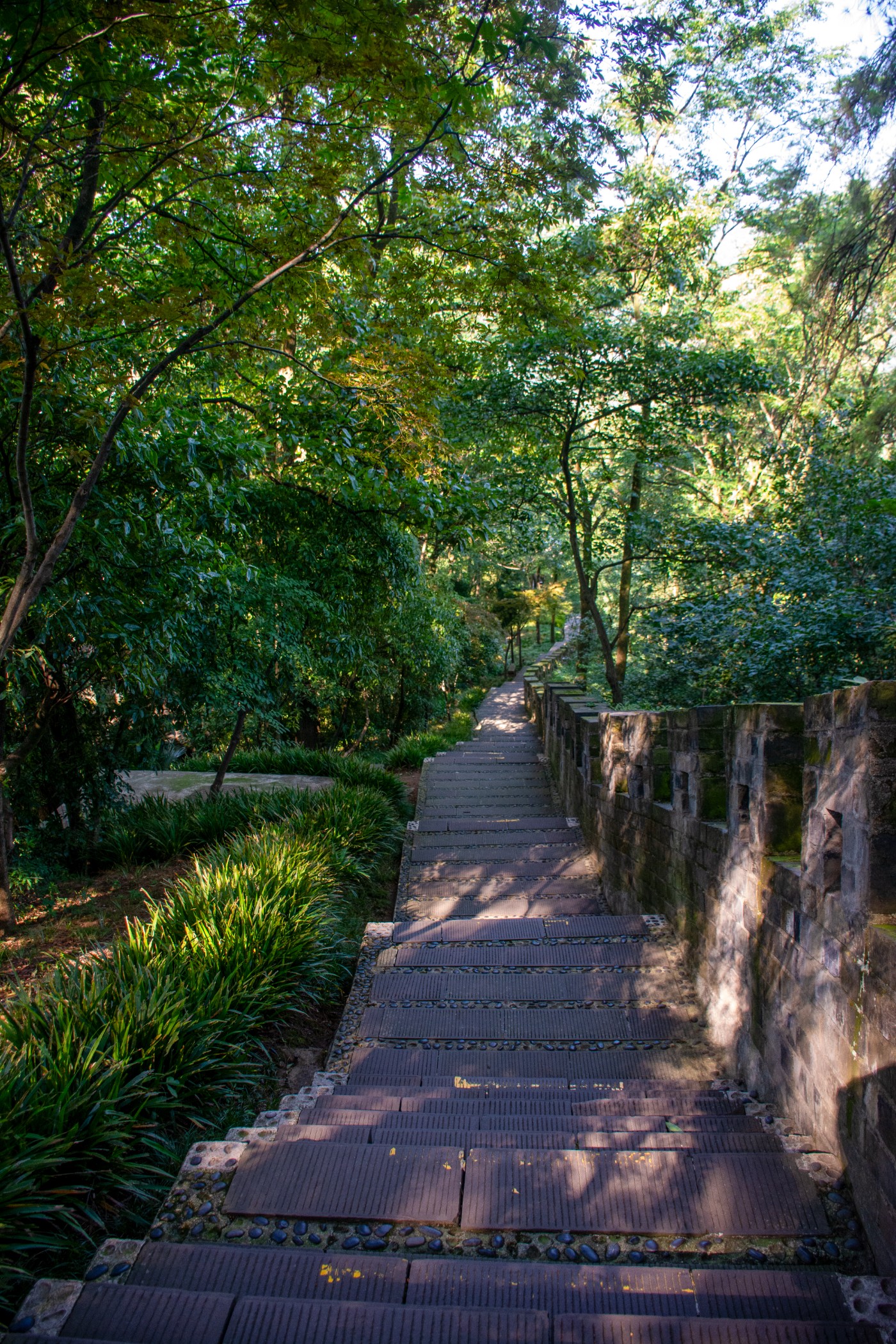 _DSC9320.jpg