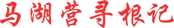 1785932106545.png
