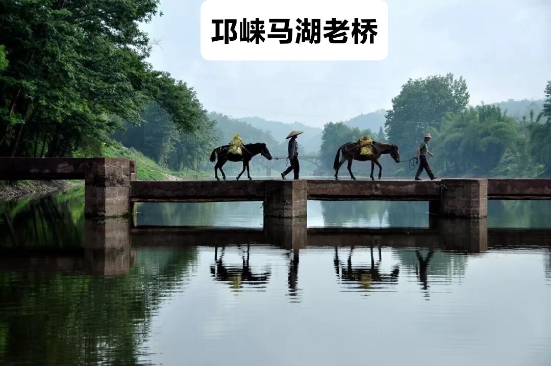 1785932106650.jpg
