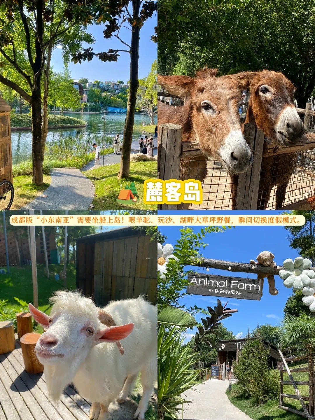 �ɶ�8�´������ι���������_11_��ѽ�ռ�_����С������ҳ��.jpg