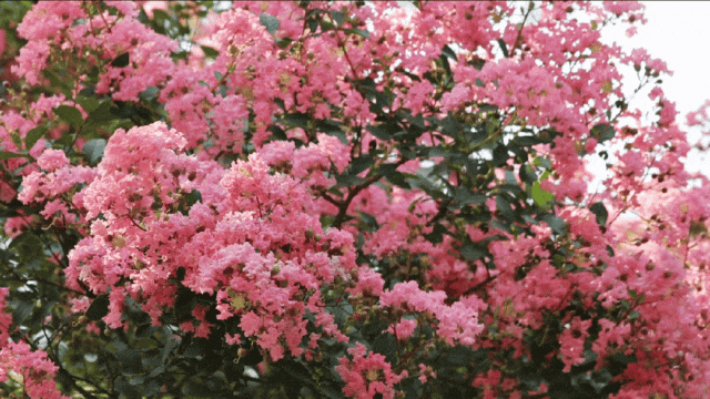 640