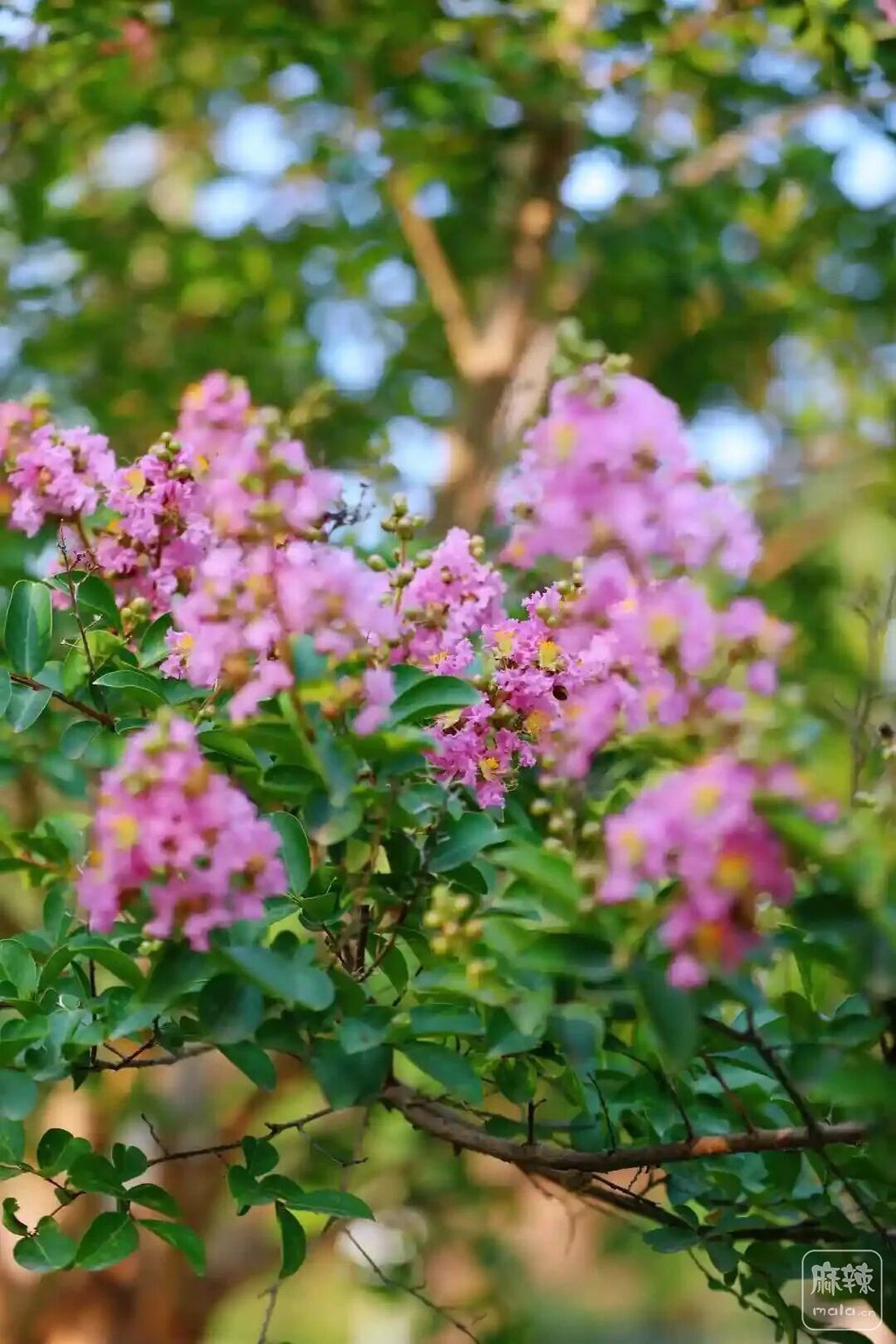 640