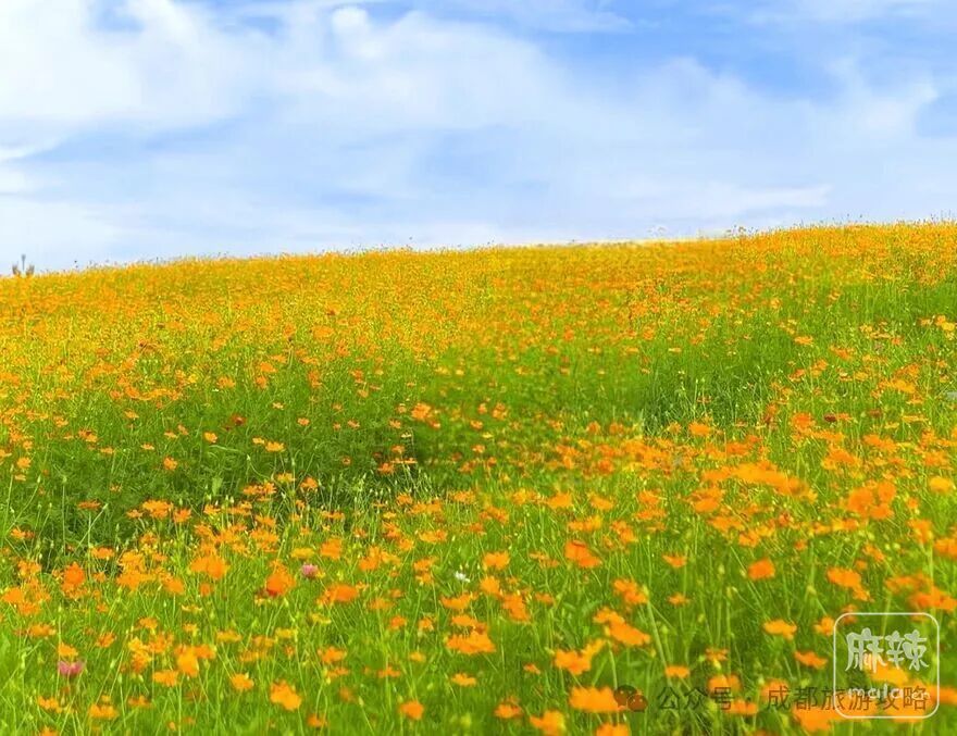 640
