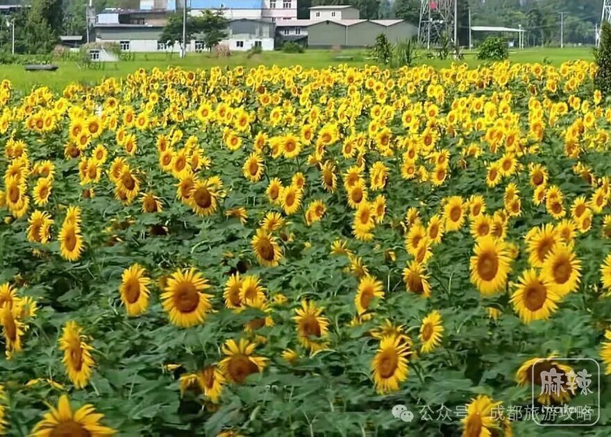 640