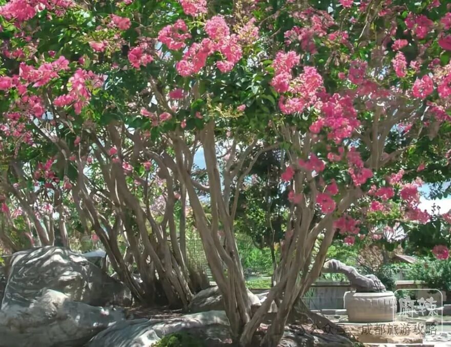 640