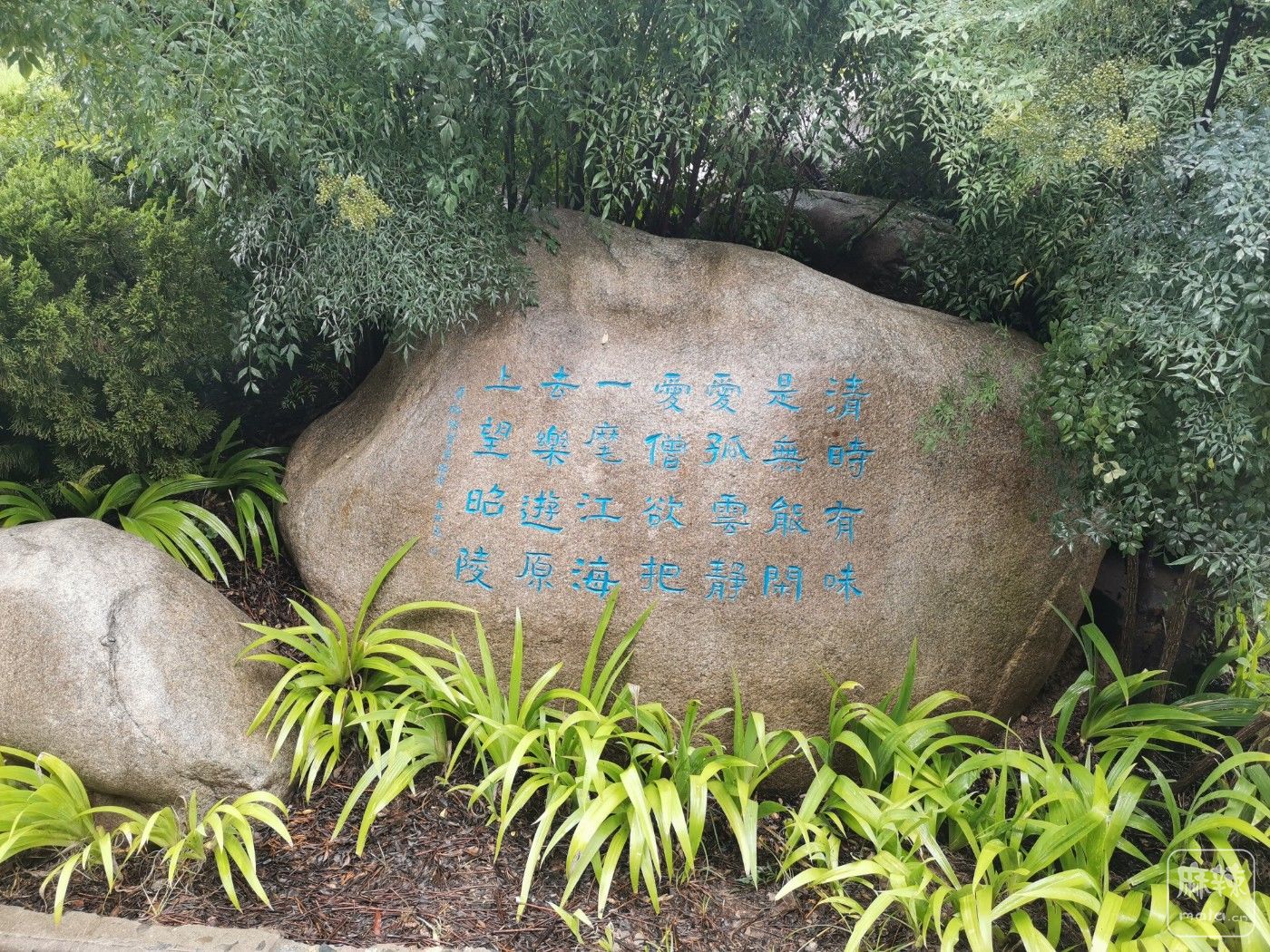 IMG_20260805_154212.jpg